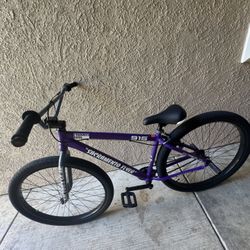 29 SE Sacramento Flyer Purple Beam 