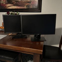 Two 24” Dell Computer Monitors 