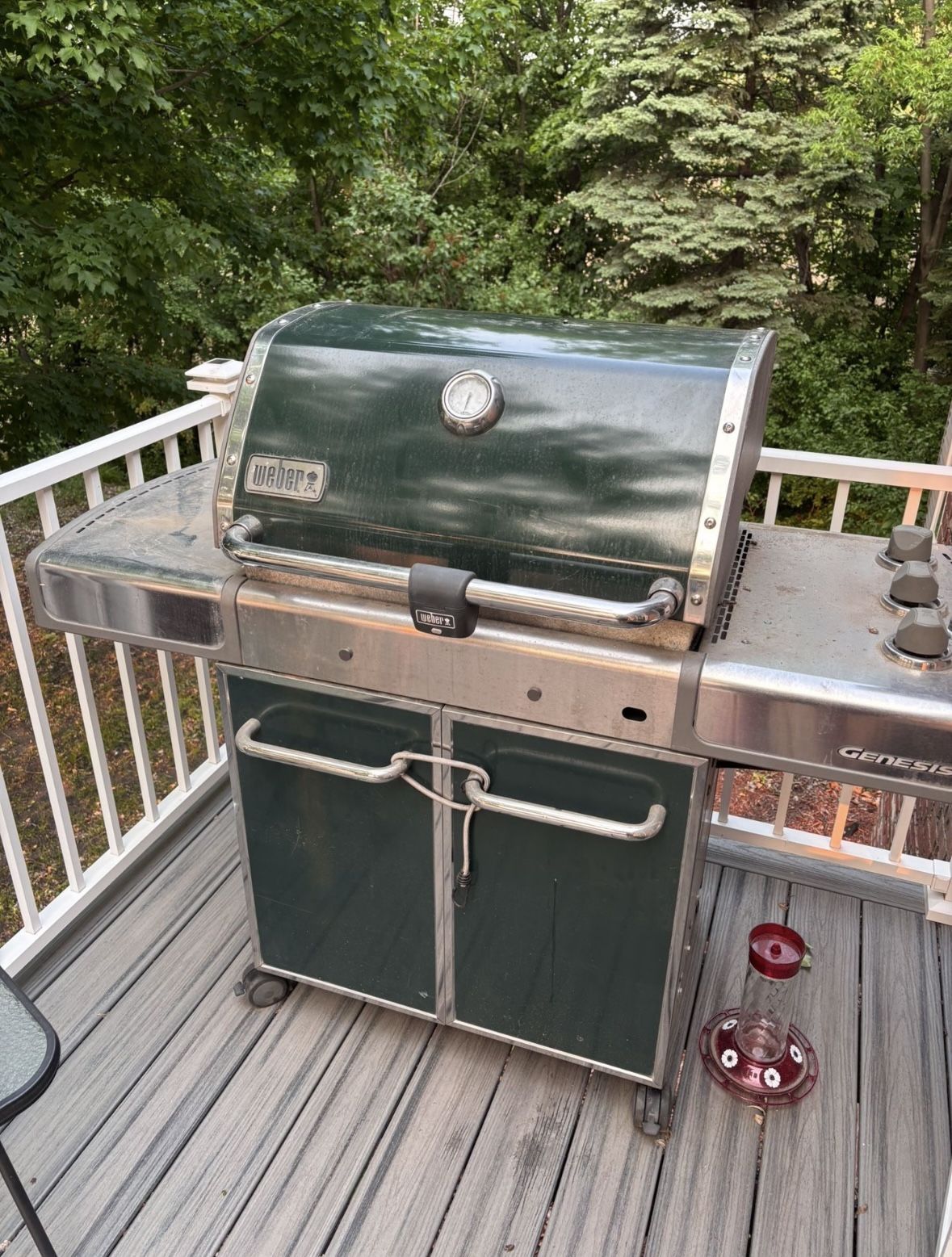 Weber Gas Grill (FREE)