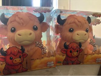 Highland cow
