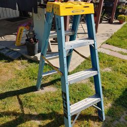 Werner Fiberglass 4 Feet Twin Ladder 