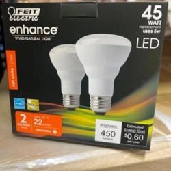 Enhanced 45 W Led Lightbulb 2 Pack