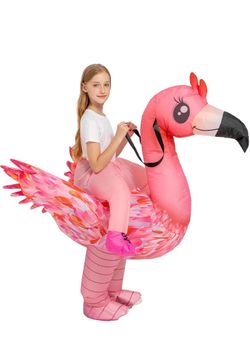 Kids Inflatable Flamingo Ride-On Costume