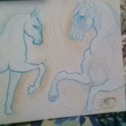 HORSES DRAWING/STUDY HAND DRAWN ON PAPER PICK UP ONLY IN ORLANDO MAKE AN OFFER