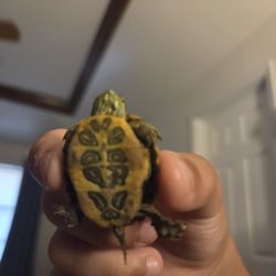 Big work table free.