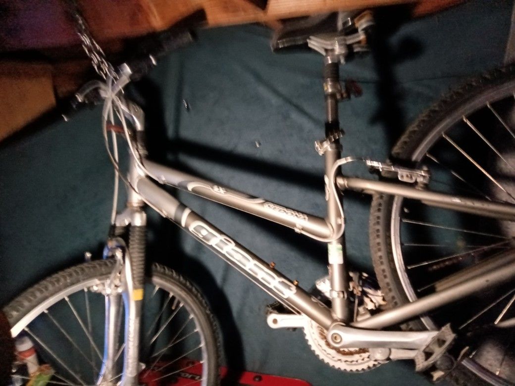 Giant 24' Bicycle