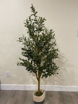Faux Olive Tree in Woven Basket