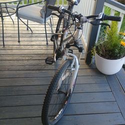 Trek Shimano Ladies Bike 21 Speed 