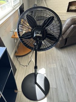 fan