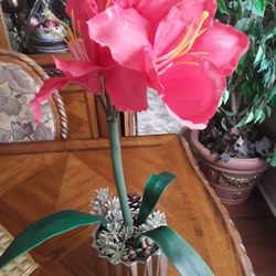 Like Real Plant Beautiful  In Weeki Wachee Spring Hill