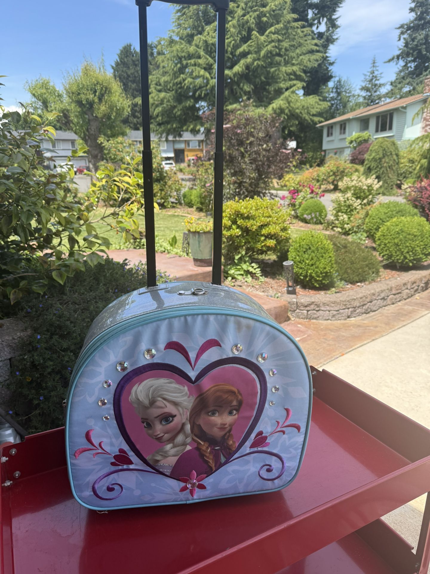 Frozen Roller Case