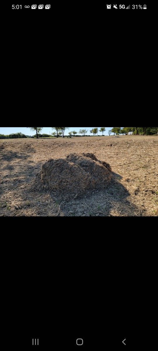 Fresh Mulch FREE  - Truck Load Worth