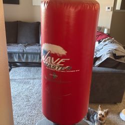 Standing Punching Bag