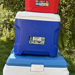 Ice Chests-Igloo And Rubbermaid