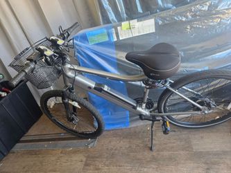 Electric bike schwin