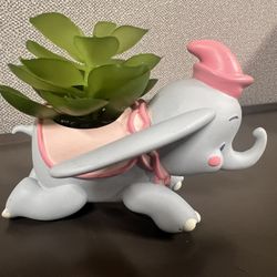 Dumbo Succulent Fake Plant