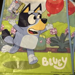 Bluey Party Supplies 
