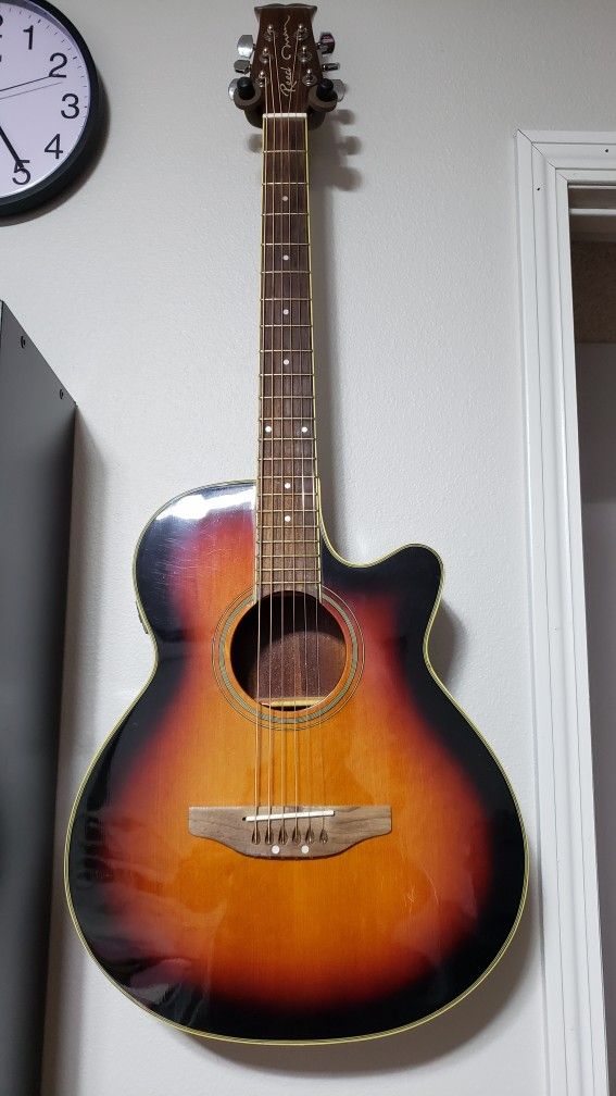 Reed Man Acoustic Guitar