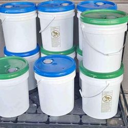 5 Gallons Buckets Wholesale Prices 