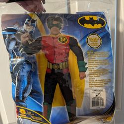 Boys Robin Costume