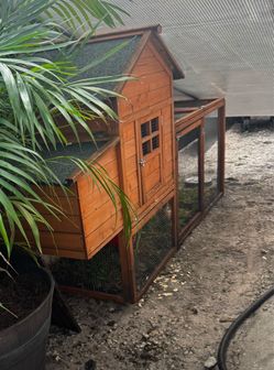 Chicken coop