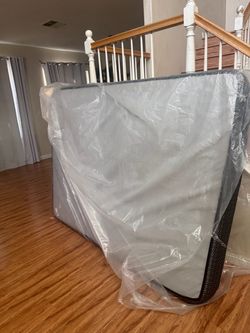 Free sealy queen mattress