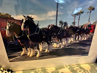 Budweiser Clydesdale Horses Team Photograph by E.L. Wolper