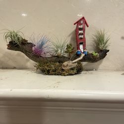 Rustic  Drift Wood    Air Plant  Fairy Garden Decoration 
