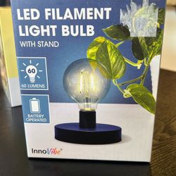 Led Filament Light Bulb With Stand