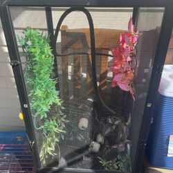 Chameleon Cage