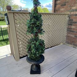 Very Gorgeous Plants 