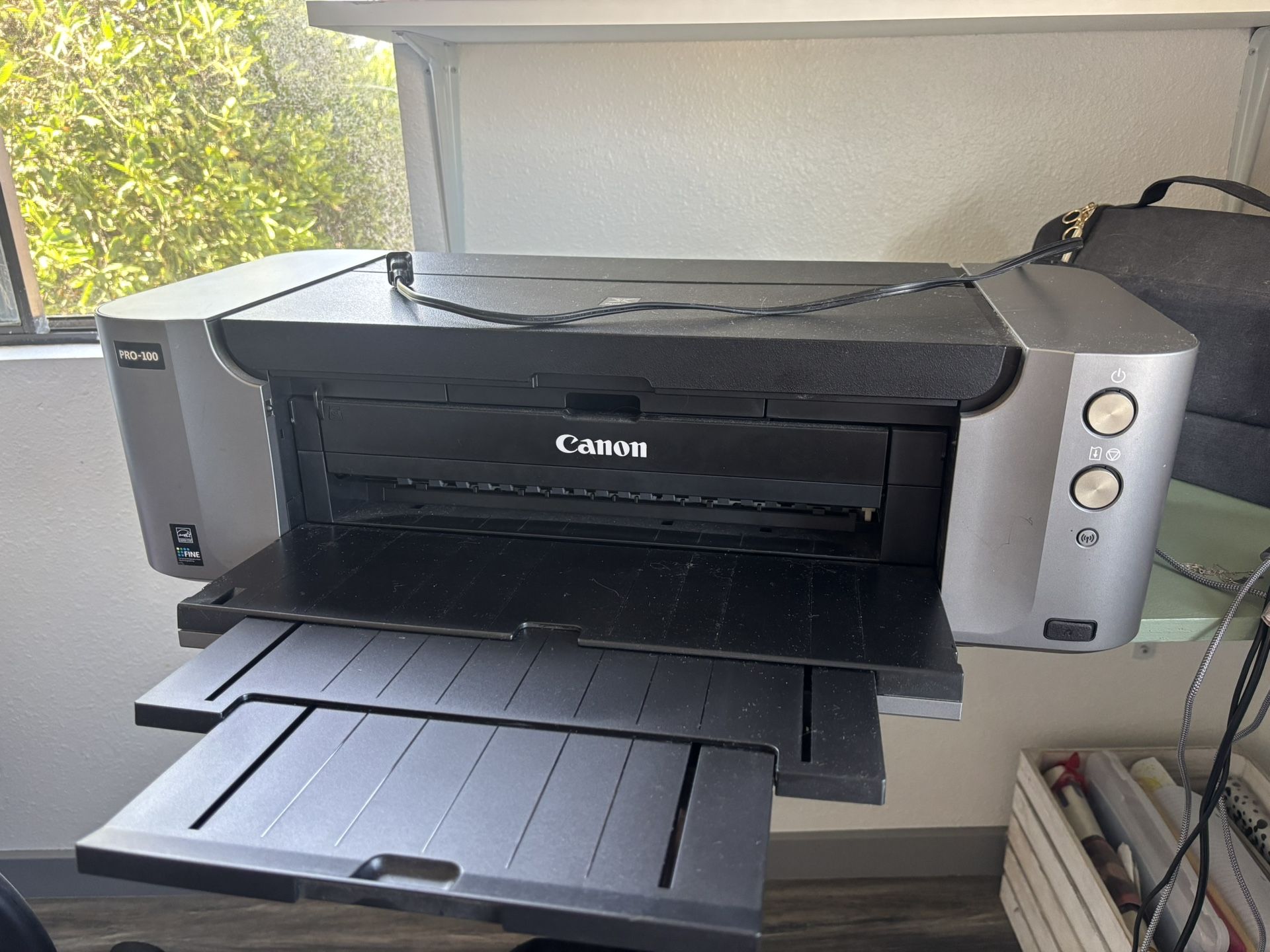 Canon pixma Pro-100 Printer