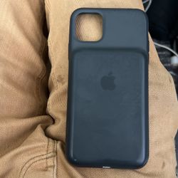 iPhone 11 Pro Max Apple Case