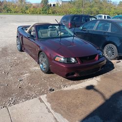 Auto Detail And Shampoo 