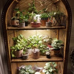 GORGEOUS XL Vintage Boho Rattan Shelving Unit In Excellent Shape! 6ft Tall! Read Description See All Photos!