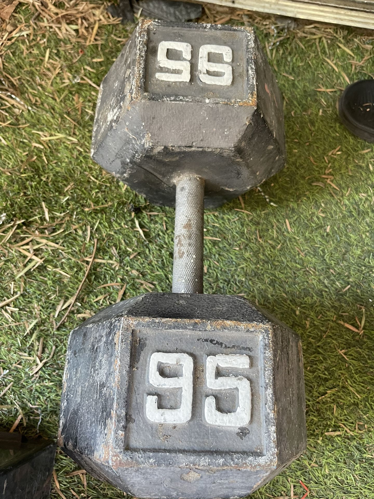 95 Lbs Dumbbells