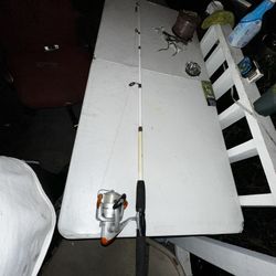 Fishing Pole 