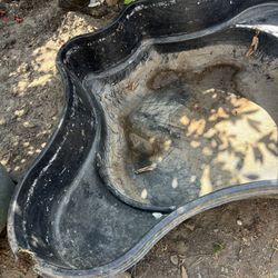 Koi Fish Pond 125 Gallon