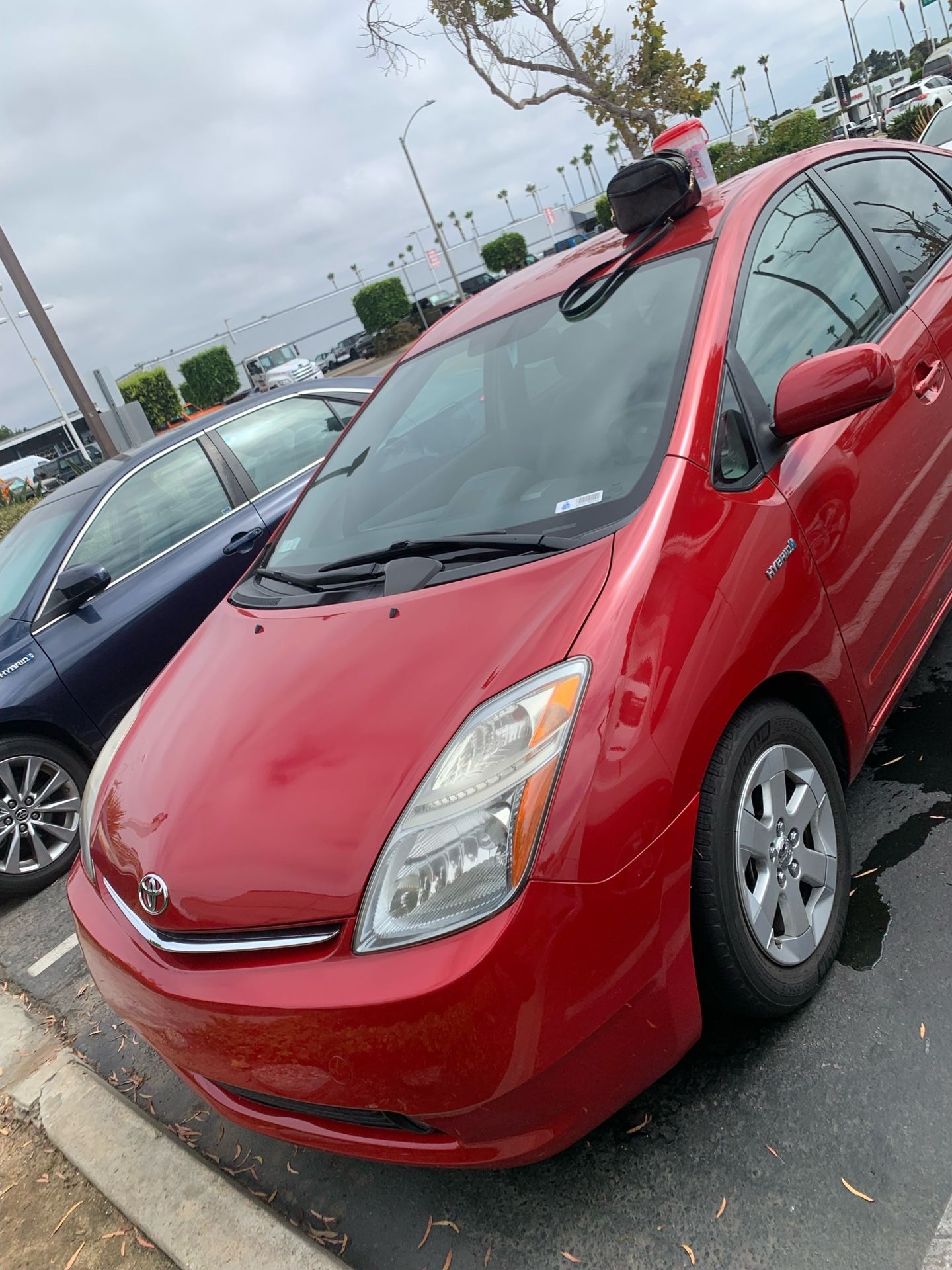 2009 Toyota Prius