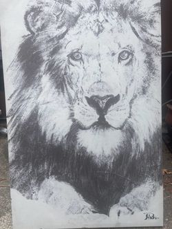 $25 Lion painting