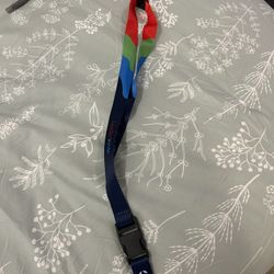Lanyard