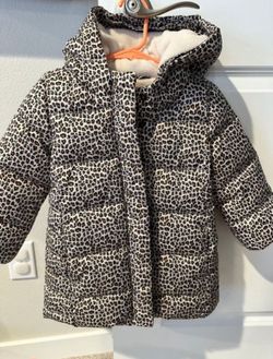 Toddler Girls Puffer Down Jacket 