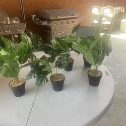 Artificial Plants