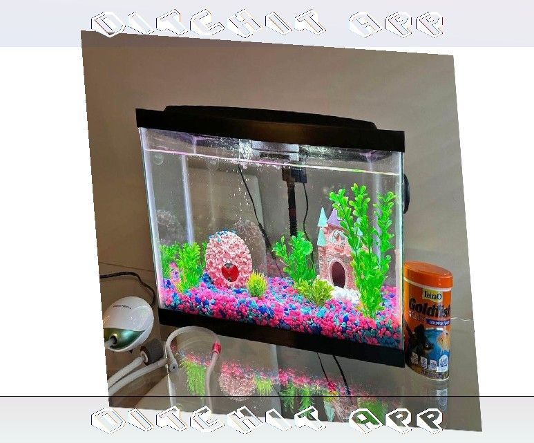 All-Set Aquarium Package - Discover Water World Magic truth try