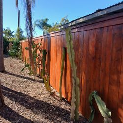 Power Wash.we paint and wash fence