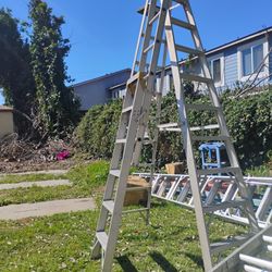 10 Ft Step Ladder And 6 To 11 Ft  Aluminum Ladders 