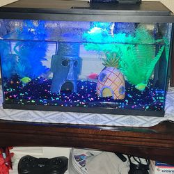 10 Gallon Fish Tank With 4 Glo Fishes (Also Comes With Equipment Needed For Glo Fish)