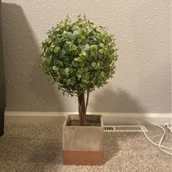 Faux Plant