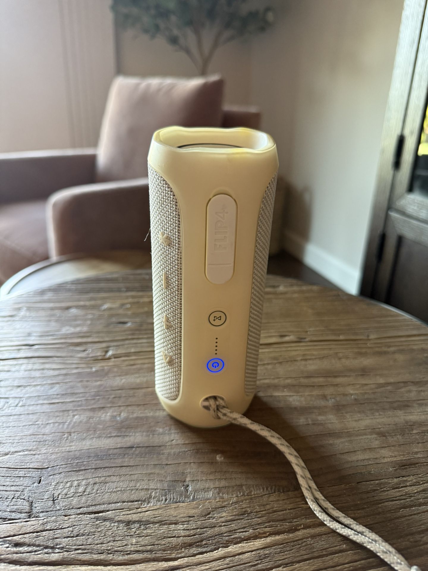 JBL Flip4 Bluetooth Speaker