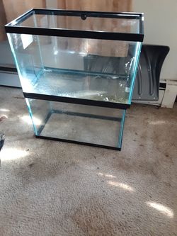 Aquariums new